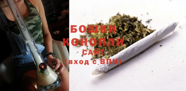 бошки Богданович