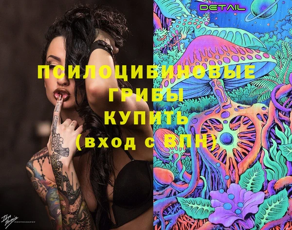 бошки Богданович