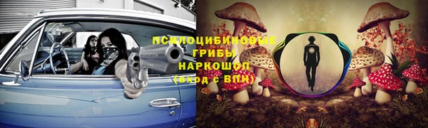 эйфоретик Богородицк